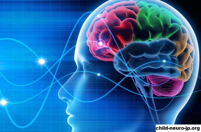 Neurosains Guna Menelusuri Misteri Pada Otak Manusia