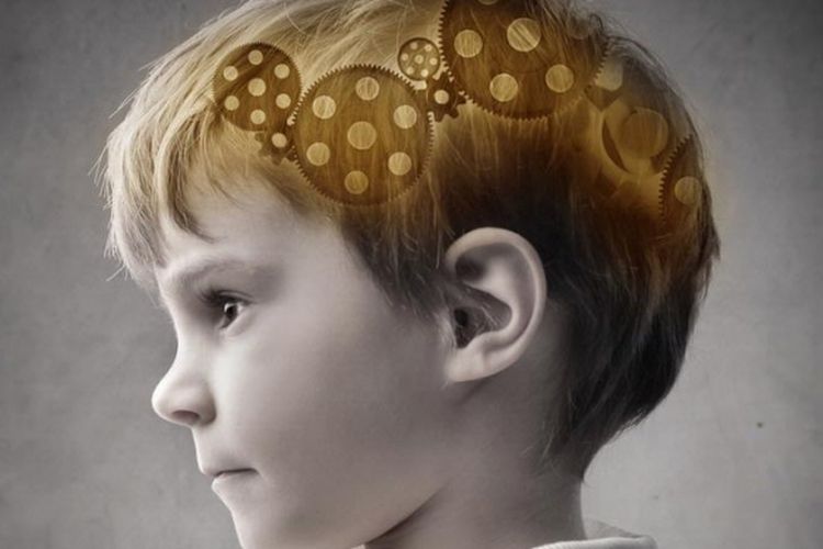 Simak Penjelasan Perkembangan Otak Dini Pada Anak