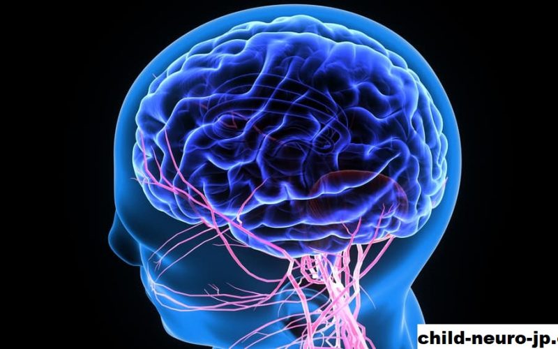 Mengenal Penyakit Saraf Otak Dan Juga Neurologi Otak Saraf Anak